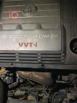 تۆیۆتا ئەڤەلۆن